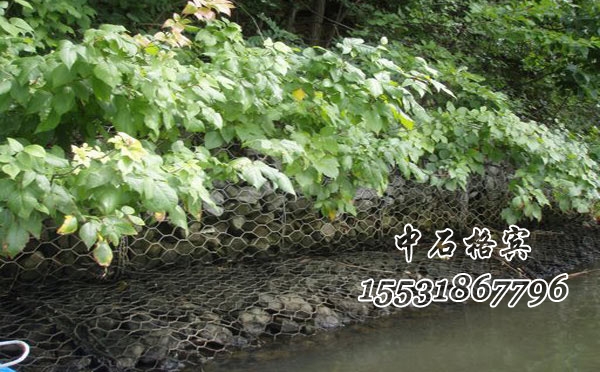 鍍鋅格賓網(wǎng)